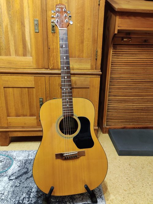 Guitar